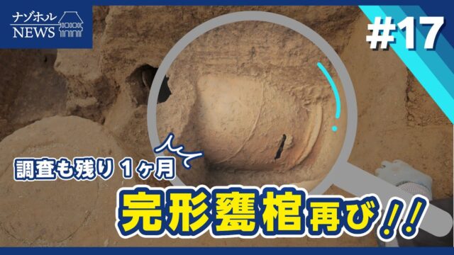 吉野ヶ里ナゾホルニュース/調査も残り1ヶ月 完形甕棺再び！